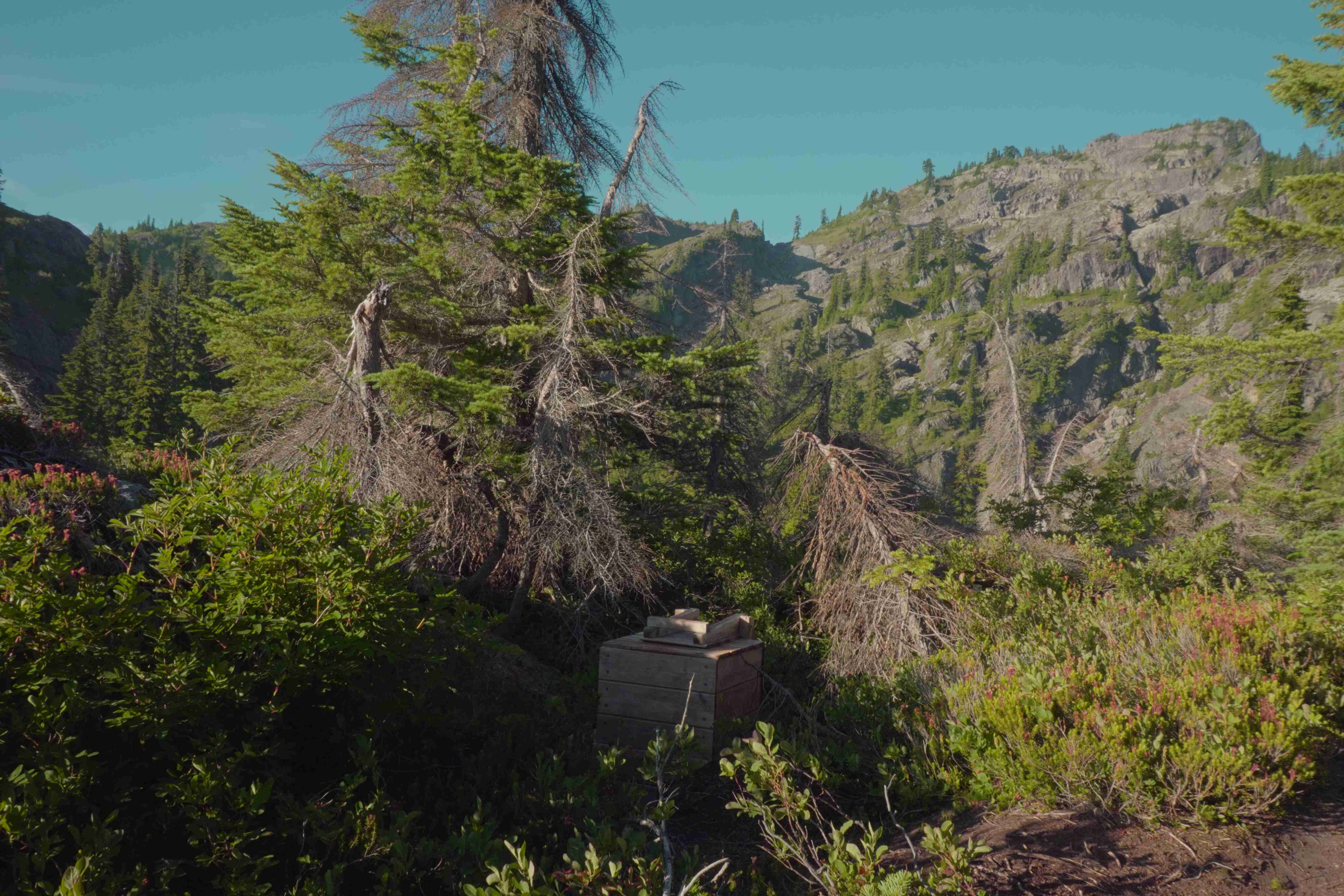 Scenic mountain landscape with lush vegetation and wooden container on hiking trail